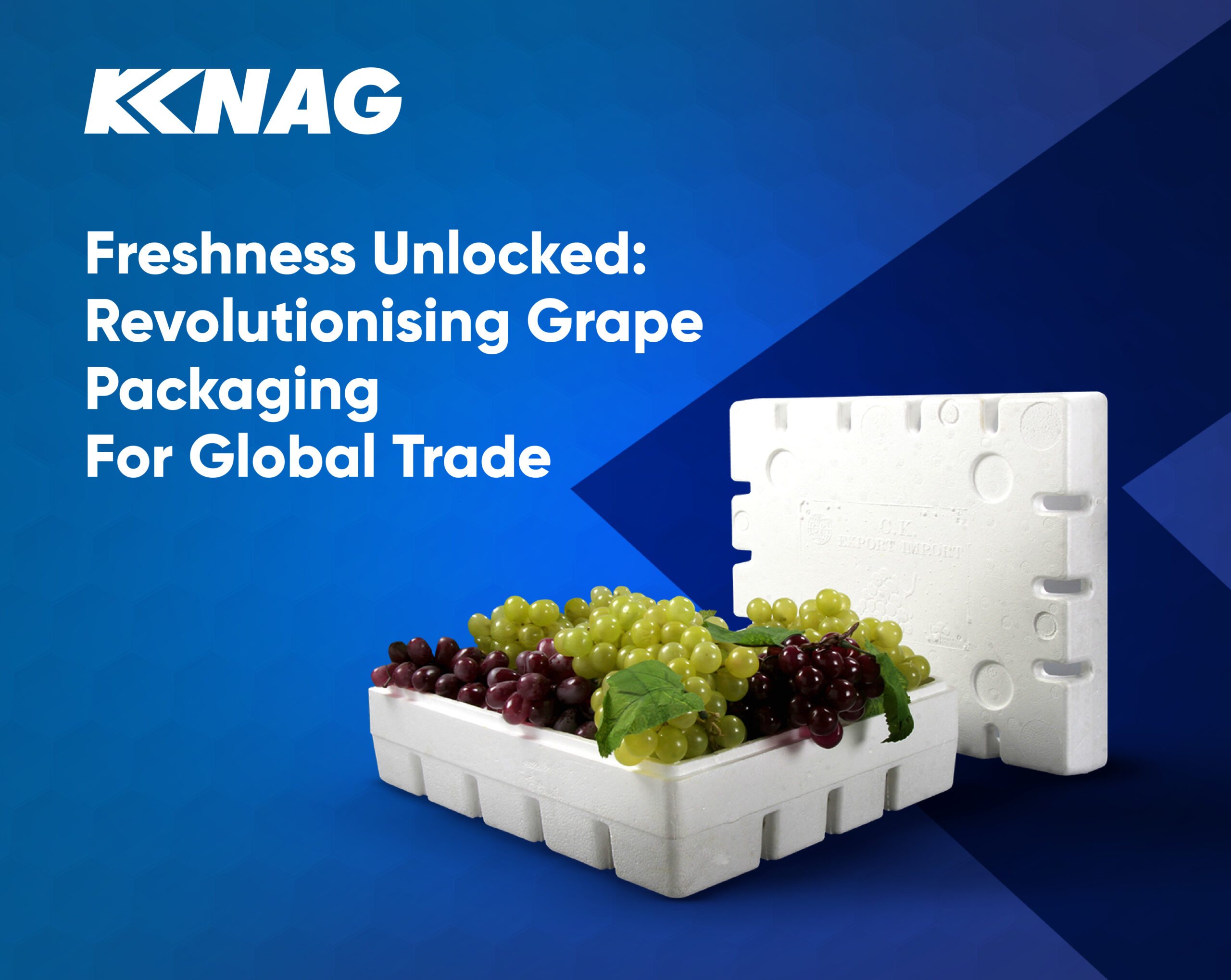 Case study hero image